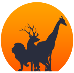 cropped favicon.png